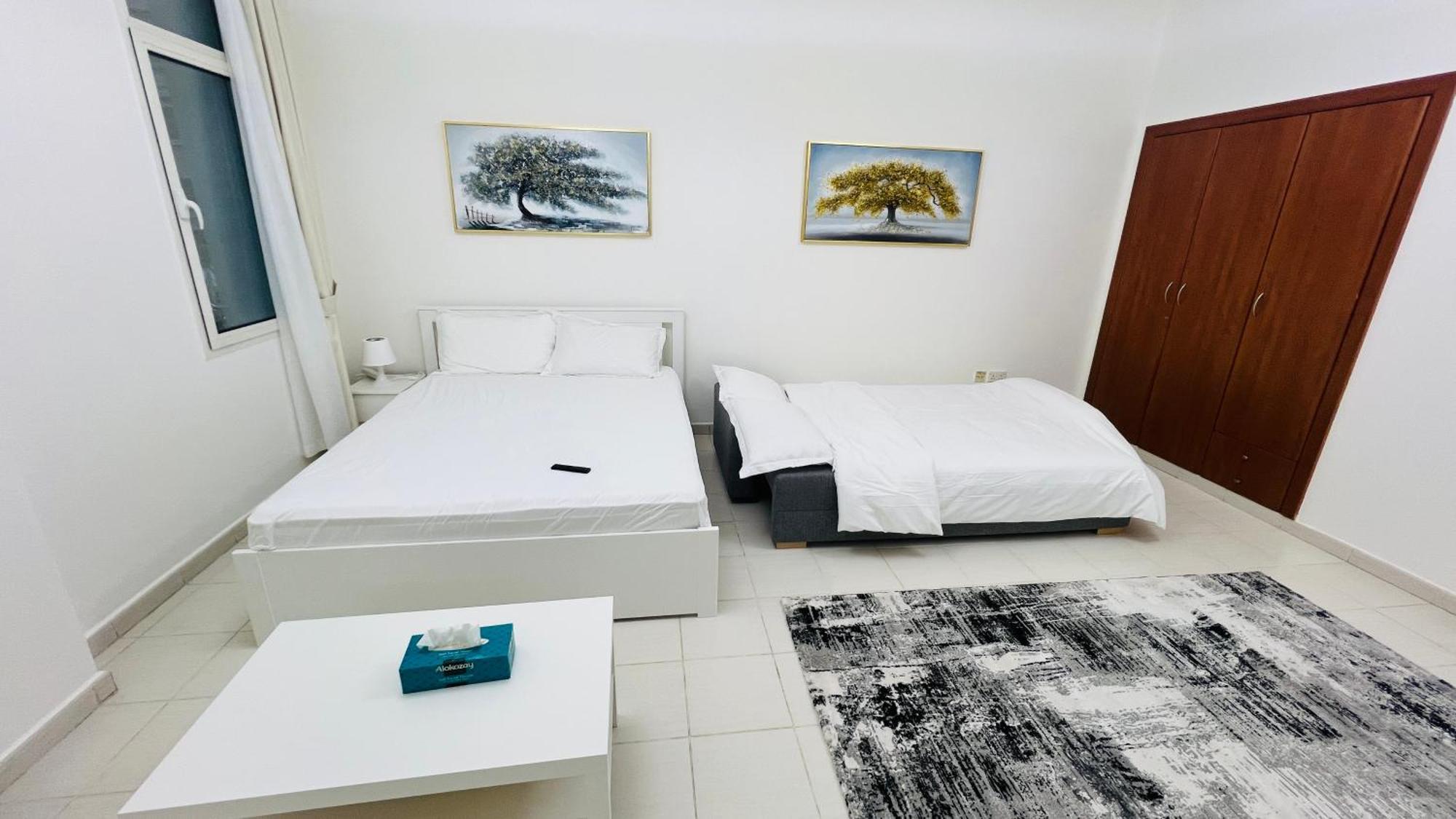 France Cluster International - Spacious Bright Furnished Dubai